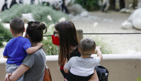 Reddito di Maternità, ovvero mille euro alle mamme per aiutarle a non abortire