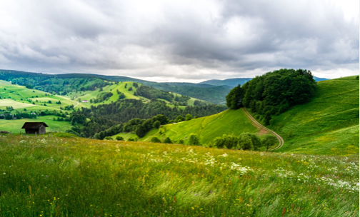 EUROPA GREEN / A CHE PUNTO E’ L’ITALIA? LO STUDIO DI NOMISMA