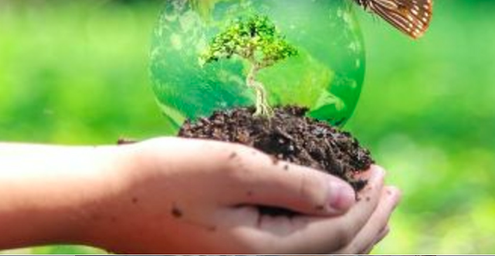 Biodiversità / Da domani in vigore il Regolamento UE sul ripristino della natura