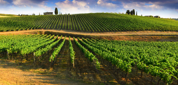Agroalimentare/   La nuova proposta di legge per la tutela del patrimonio
