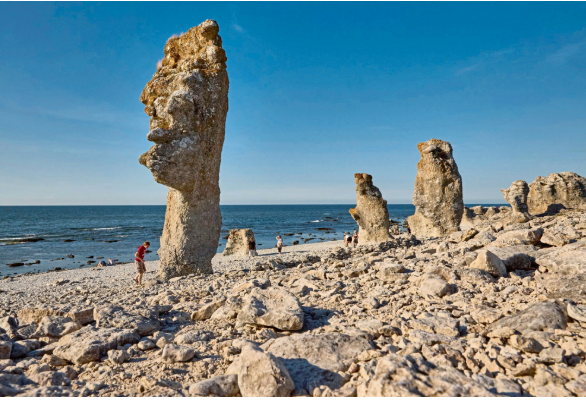 Cremlino/Le mire sull’isola svedese di Gotland, che si prepara alla difesa