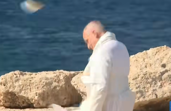 DOMENICA 5 LUGLIO – Papa Leone e quella papalina che vola verso il mare di Dio